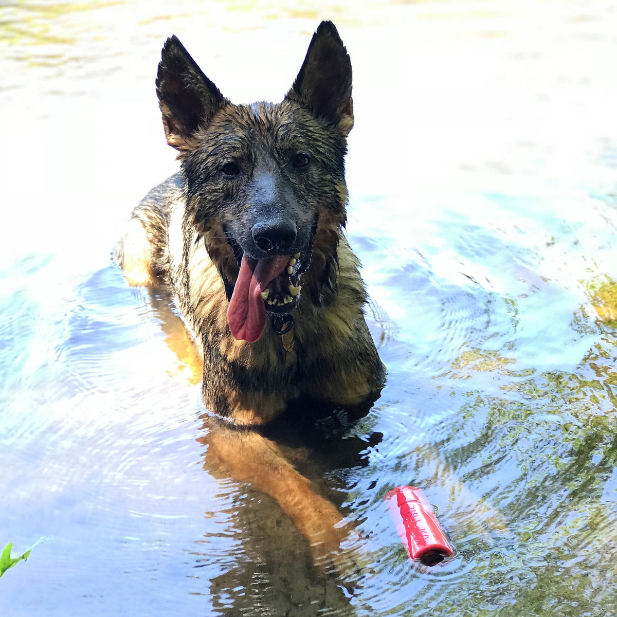 USA-K9 Firecracker Floating Training Dummy | K9 Handler Reward Toy | Red | USA Made - SodaPup/True Dogs, LLC - Flyclothing LLC