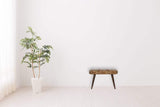 Leopard Print Deep Button Bench - Artisan Furniture - Flyclothing LLC