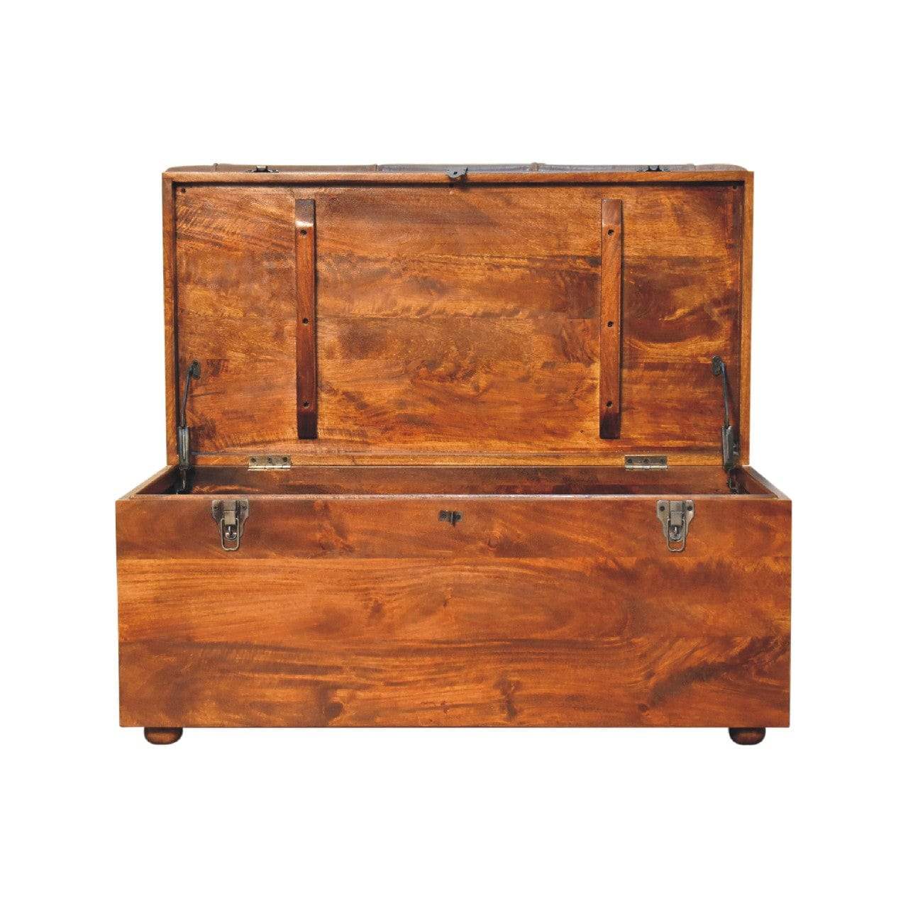 Buffalo Hide Chestnut Storage Trunk - Artisan Furniture - Flyclothing LLC
