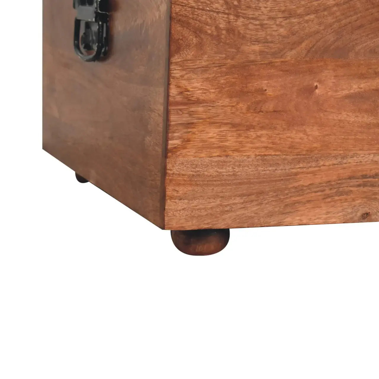 Artisan Furniture Buffalo Hide Honey Caramel Storage Trunk - Artisan Furniture - Flyclothing LLC