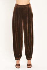 COCOA CITY BROWN TAILORED PANTS