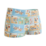 The Improper Protocol | Airplane Pamphlet Modal Boyshort Underwear - Shinesty - Flyclothing LLC