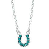AWST Int'l Aqua Rhinestone Horseshoe Necklace w/Horse Head Gift Box - Breeches.com - Flyclothing LLC