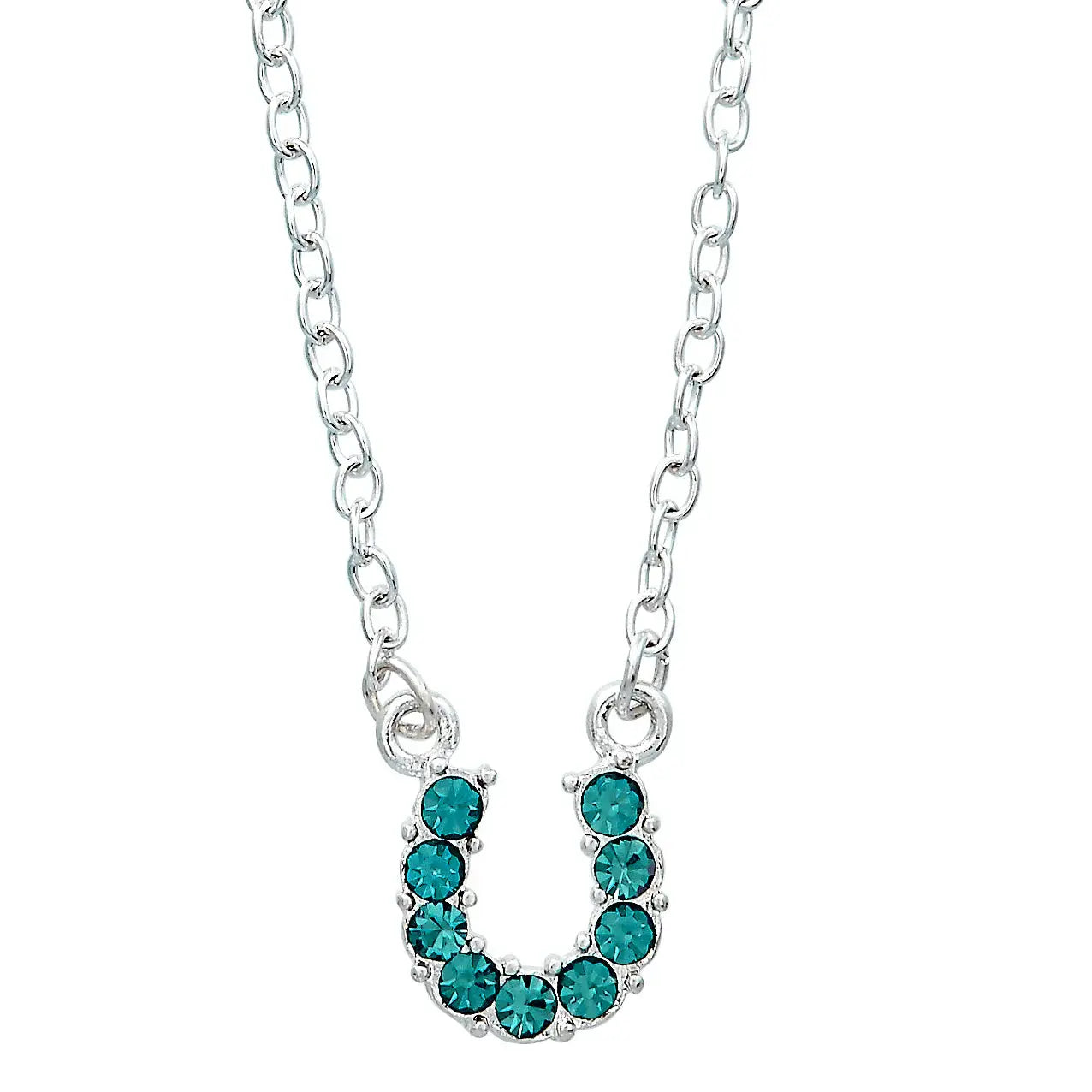 AWST Int'l Aqua Rhinestone Horseshoe Necklace w/Horse Head Gift Box - Breeches.com - Flyclothing LLC