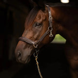 Henri de Rivel Pro Collection Leather Lead with 24" Solid Brass Chain - Breeches.com - Flyclothing LLC