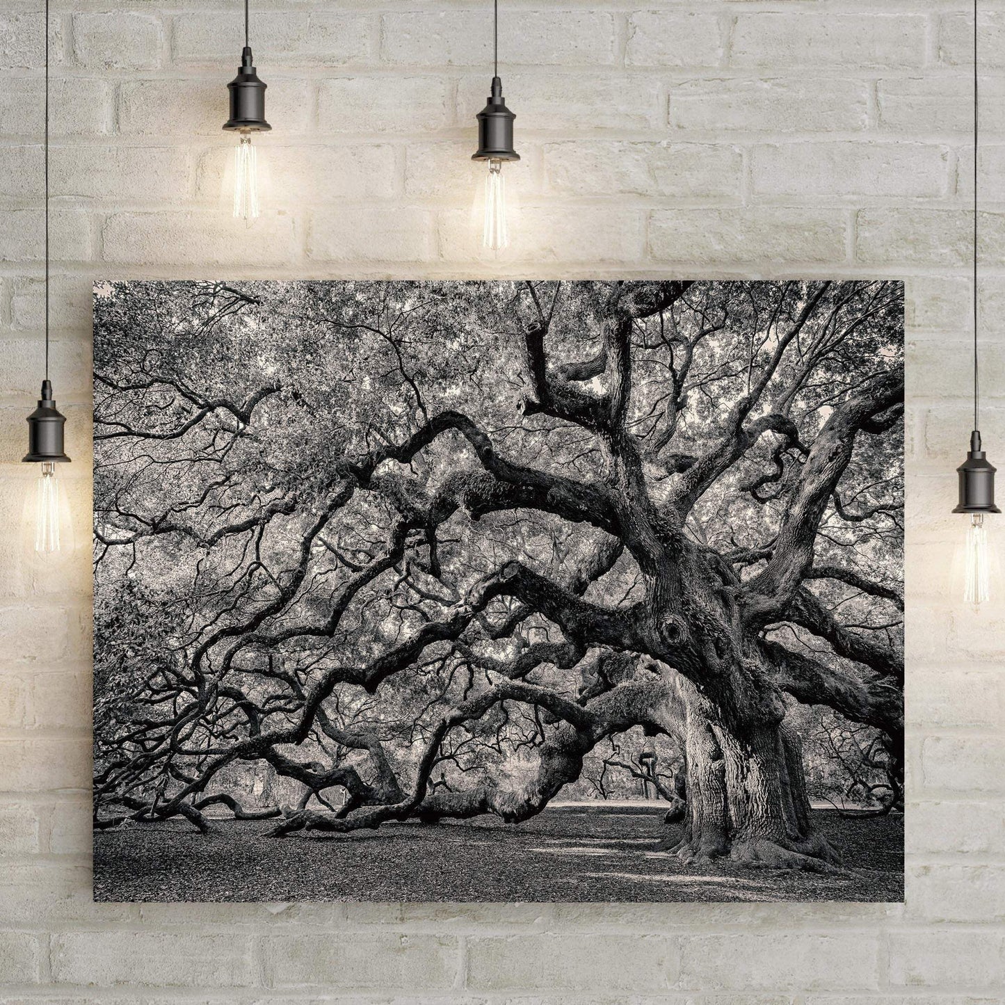 Monochrome Angel Oak Tree Canvas Wall Art - Tailored Canvases - Flyclothing LLC