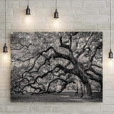 Monochrome Angel Oak Tree Canvas Wall Art - Tailored Canvases - Flyclothing LLC