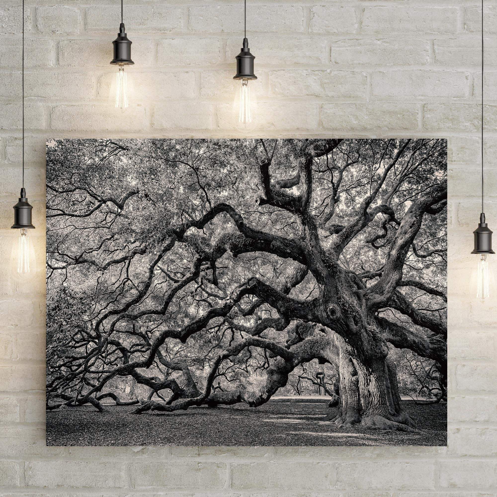 Monochrome Angel Oak Tree Canvas Wall Art - Tailored Canvases - Flyclothing LLC