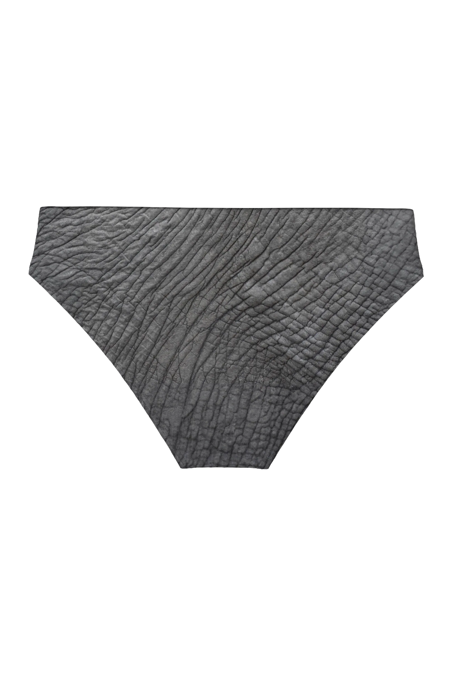 The Junk Trunk | Elephant Ball Hammock® Pouch Swim Briefs - Shinesty - Flyclothing LLC