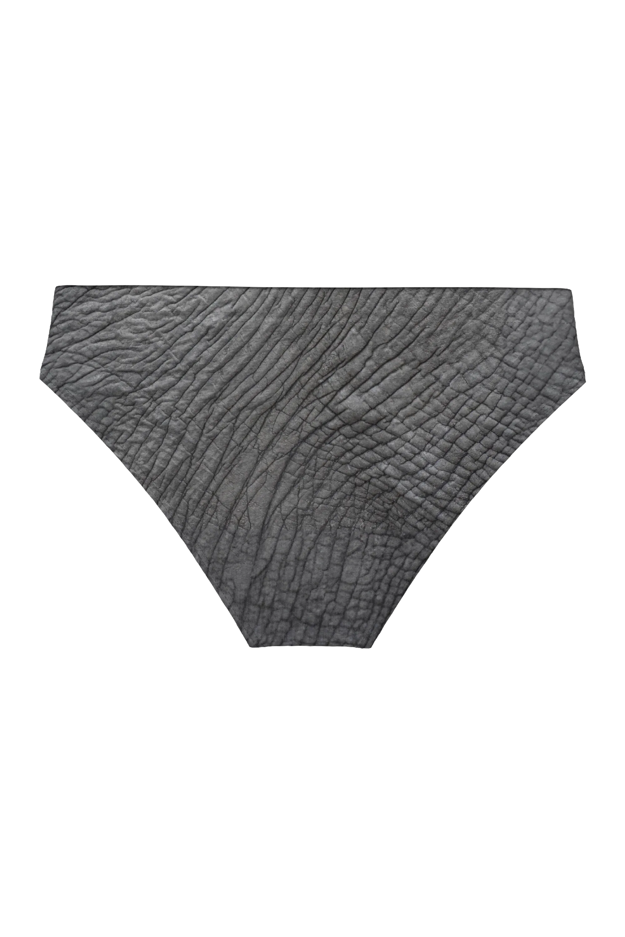 The Junk Trunk | Elephant Ball Hammock® Pouch Swim Briefs - Shinesty - Flyclothing LLC