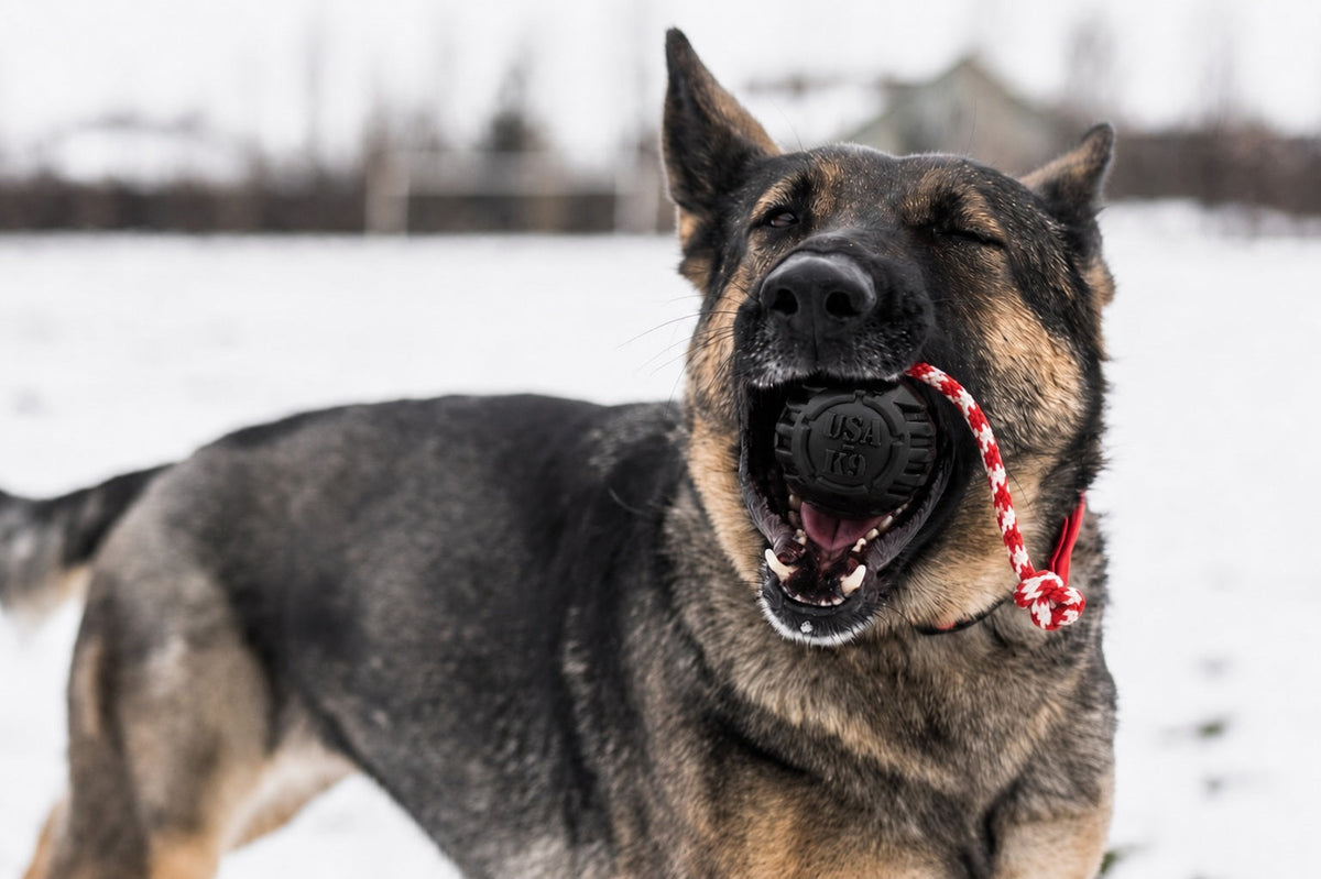 USA-K9 Magnum Stars and Stripes Rubber Dog Toy | K9 Handler Reward Toy | USA Made - SodaPup/True Dogs, LLC - Flyclothing LLC