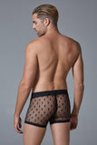 Allure Lingerie Men’s Star Shorts - Allure Lingerie