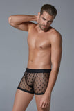 Allure Lingerie Men’s Star Shorts