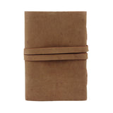The Sapling Notebook