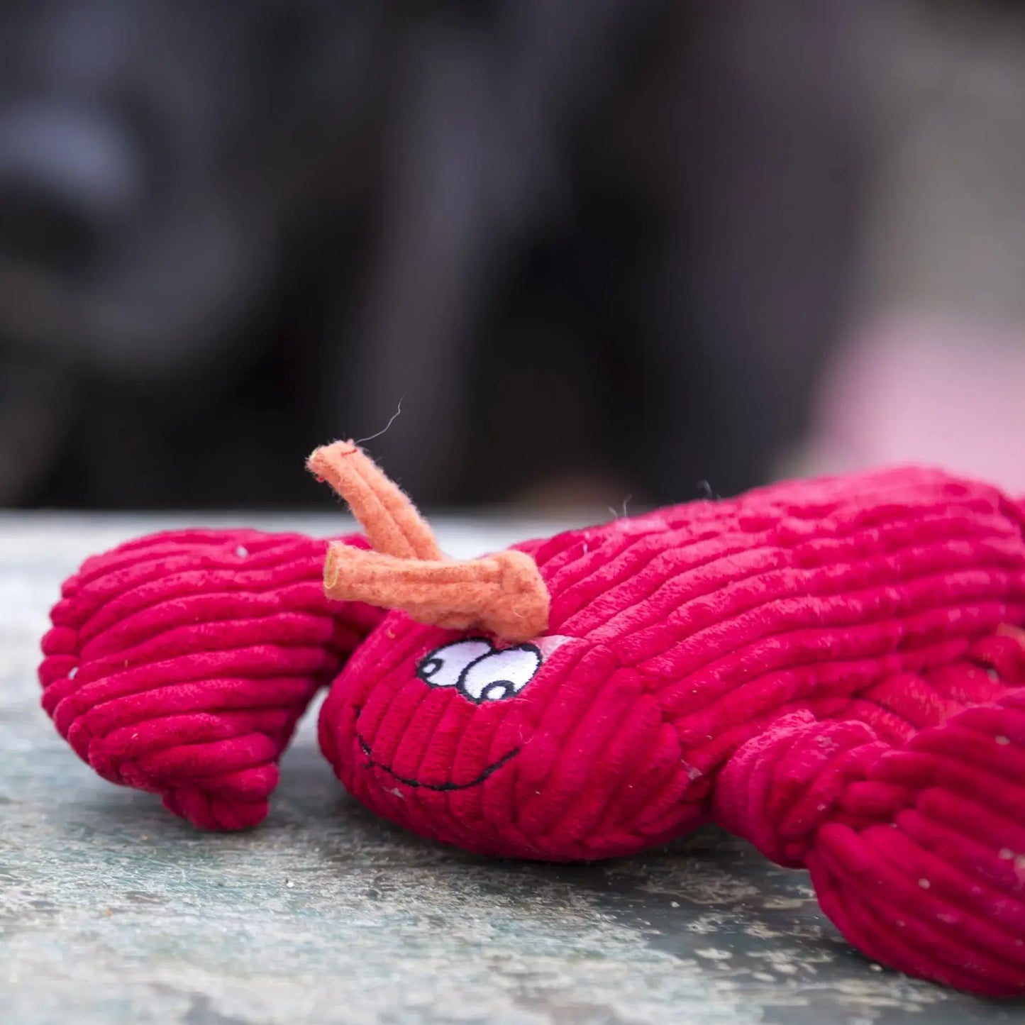 McCraken Lobsta™ Knottie® Plush Dog Toy - HuggleHounds - Flyclothing LLC
