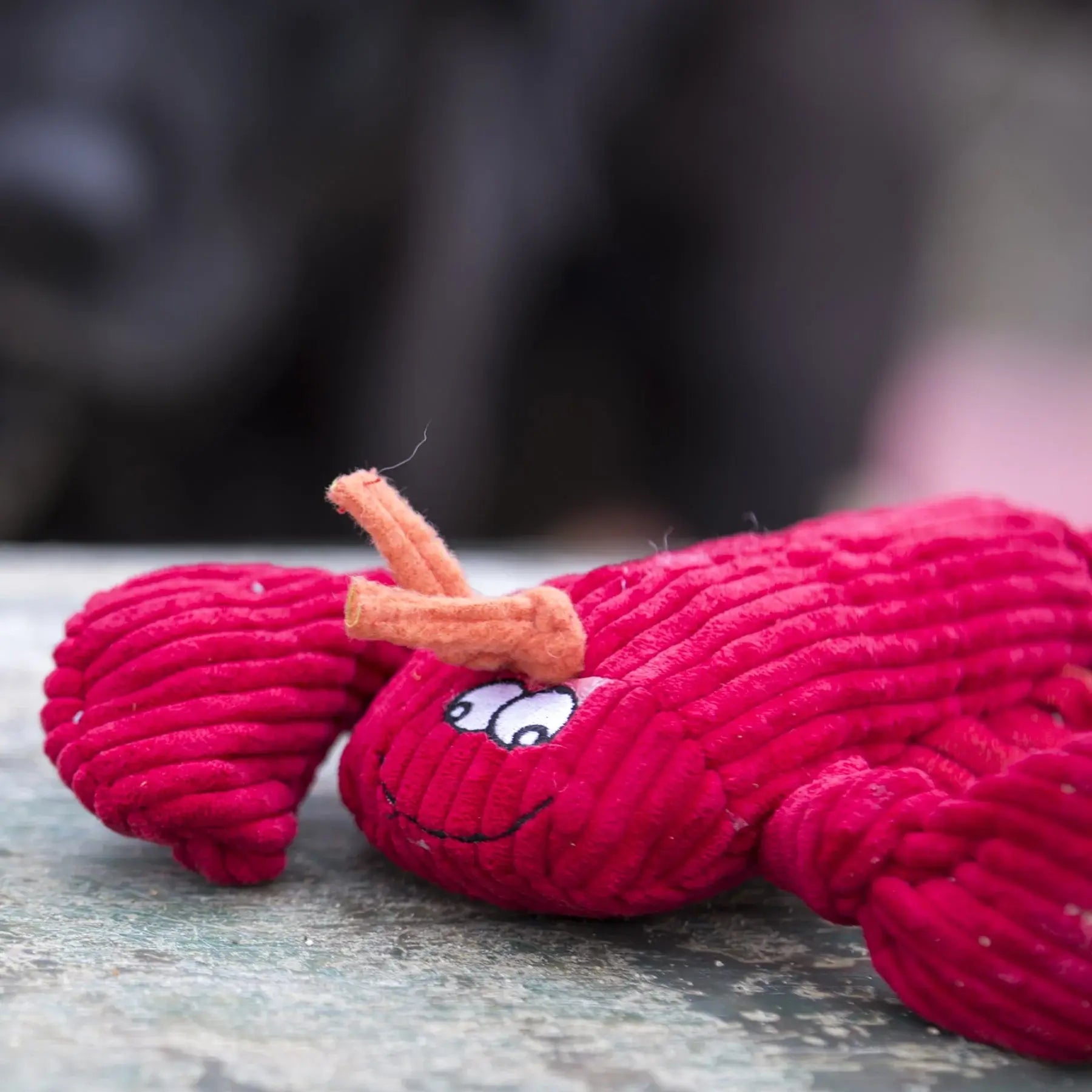 McCraken Lobsta™ Knottie® Plush Dog Toy - HuggleHounds - Flyclothing LLC