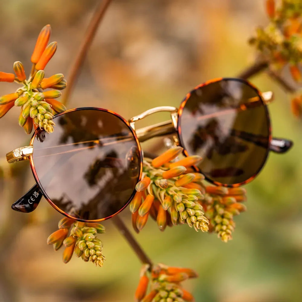 No Alibi Love & Haights - Knockaround - Flyclothing LLC