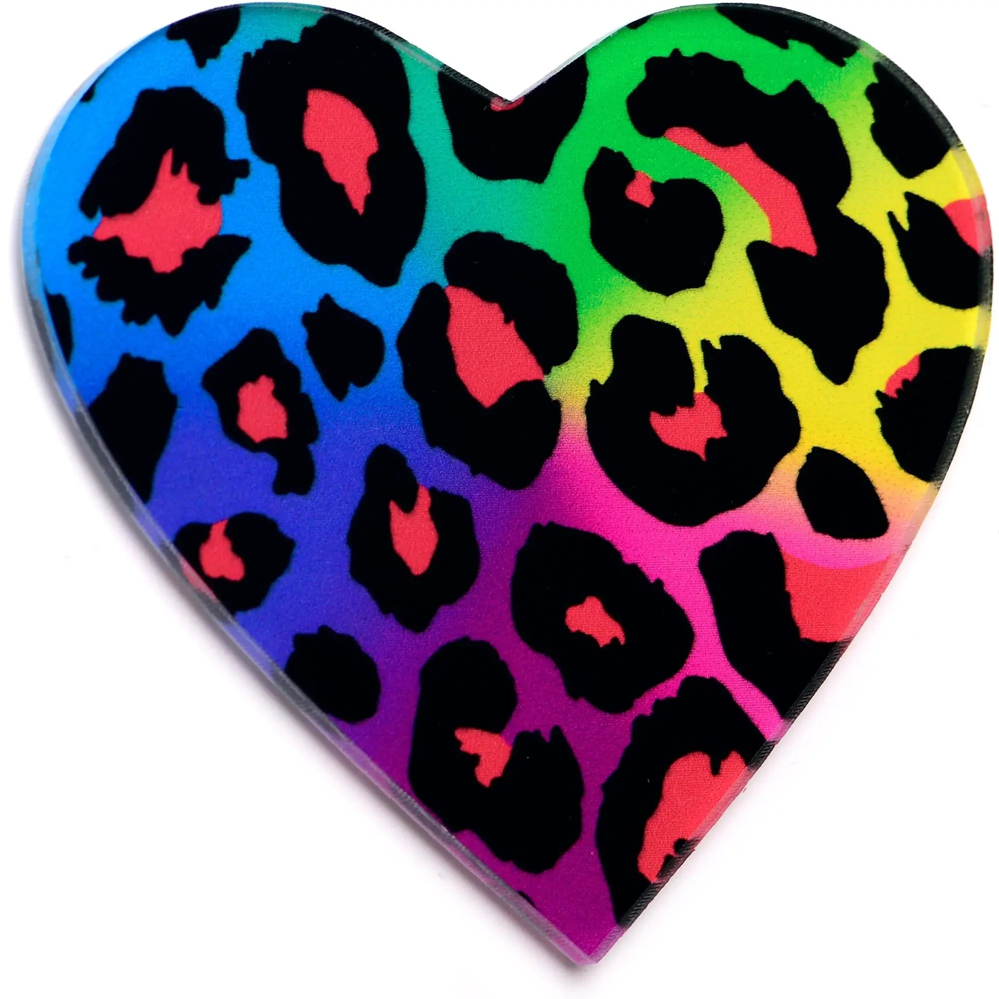 Acrylicious Rainbow Cheetah Print Heart Magnet by Onyx O - BodyCandy - Flyclothing LLC