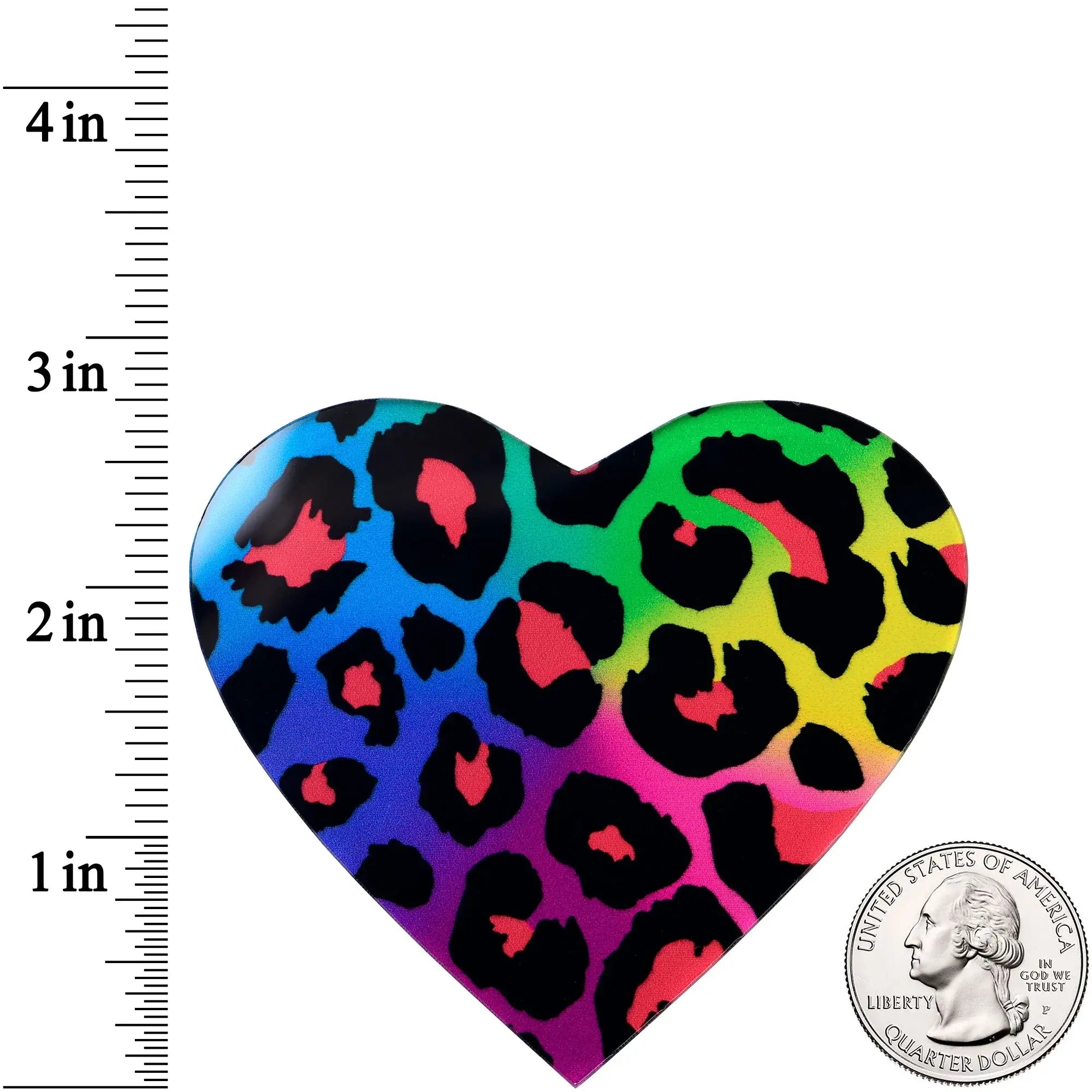 Acrylicious Rainbow Cheetah Print Heart Magnet by Onyx O - BodyCandy - Flyclothing LLC