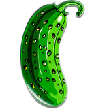 Acrylicious Funky Green Pickle Magnet by Onyx O - BodyCandy - Flyclothing LLC