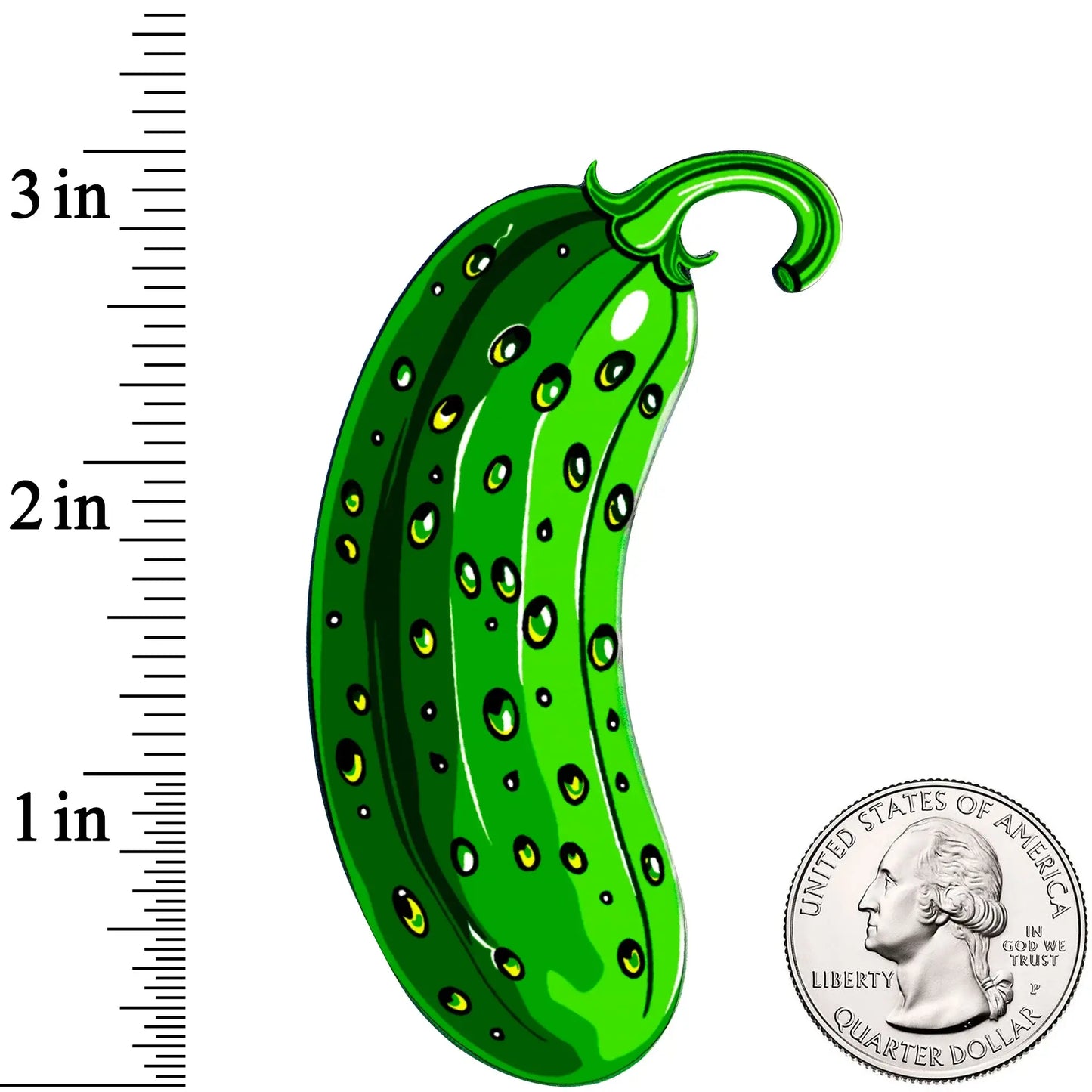 Acrylicious Funky Green Pickle Magnet by Onyx O - BodyCandy - Flyclothing LLC