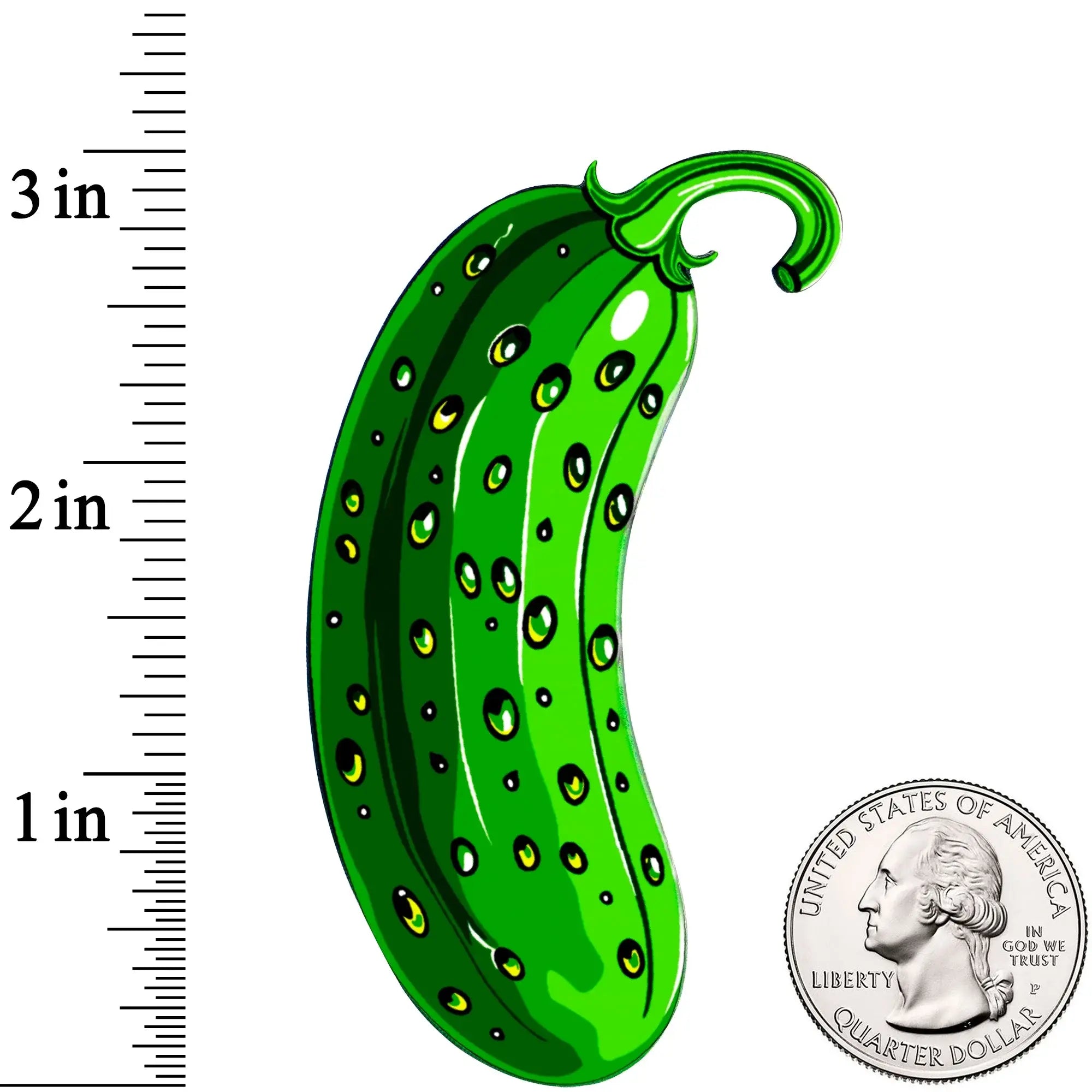 Acrylicious Funky Green Pickle Magnet by Onyx O - BodyCandy - Flyclothing LLC