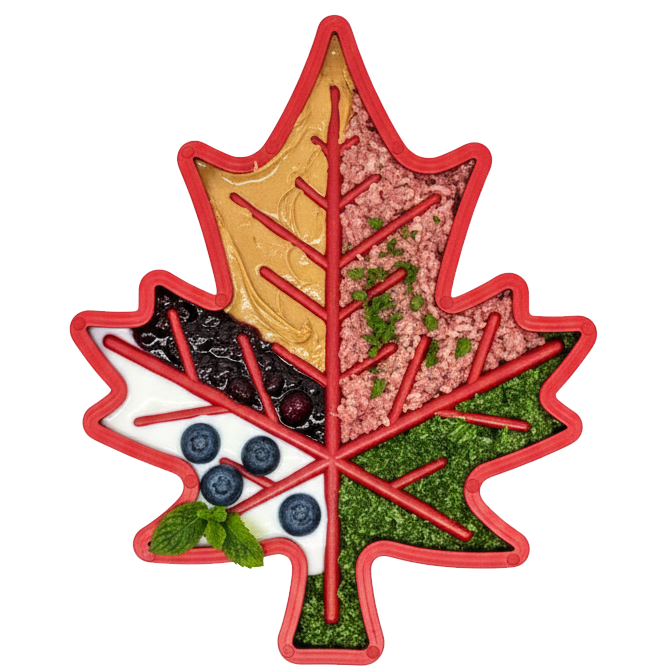 Canadian Maple Leaf Nylon Dog Chew Toy - Durable & USA Made - SodaPup/True Dogs, LLC - Flyclothing LLC