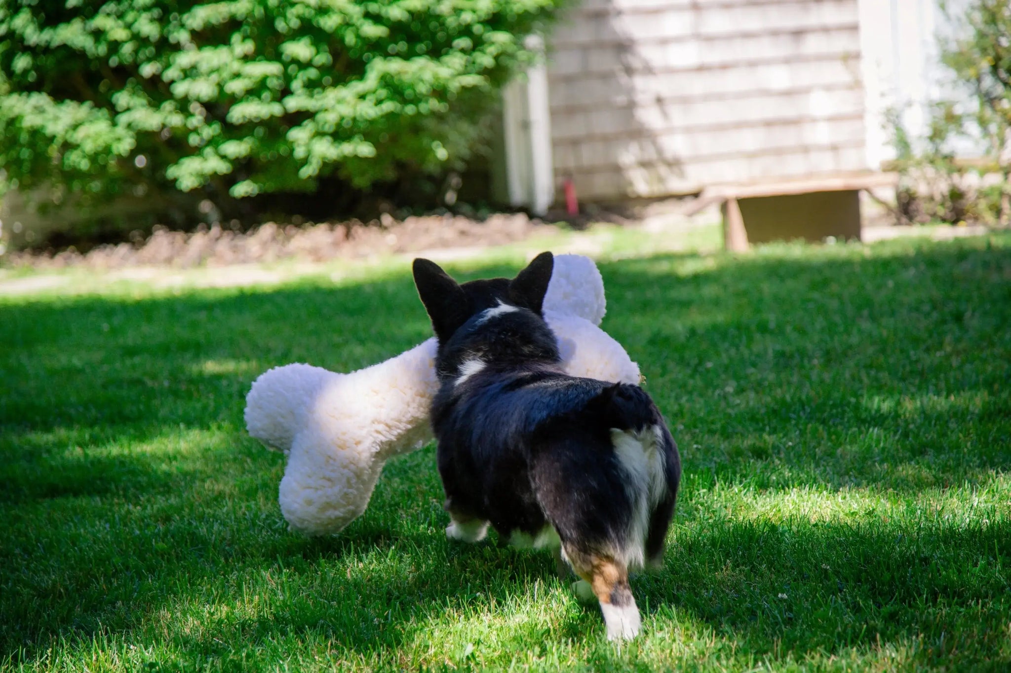 HuggleFleece® 2' Plush Bone Dog Toy - HuggleHounds - Flyclothing LLC