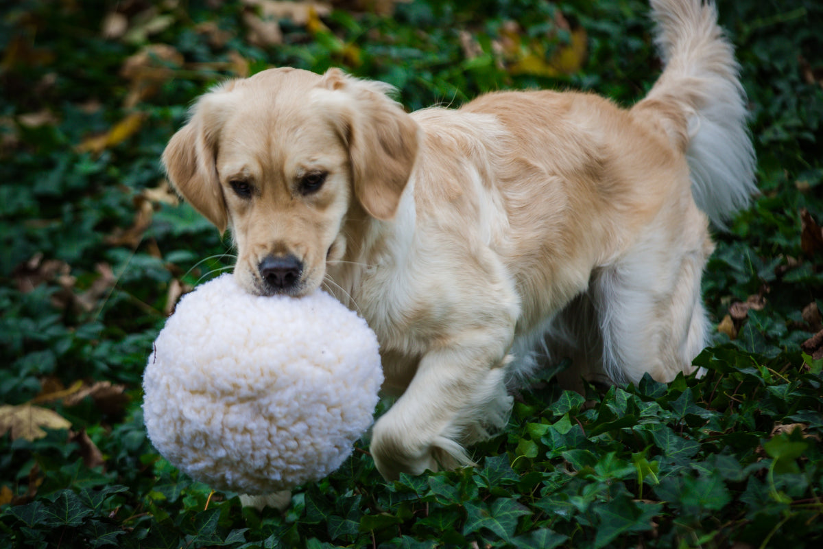 HuggleFleece® Plush Ball Dog Toy - HuggleHounds - Flyclothing LLC