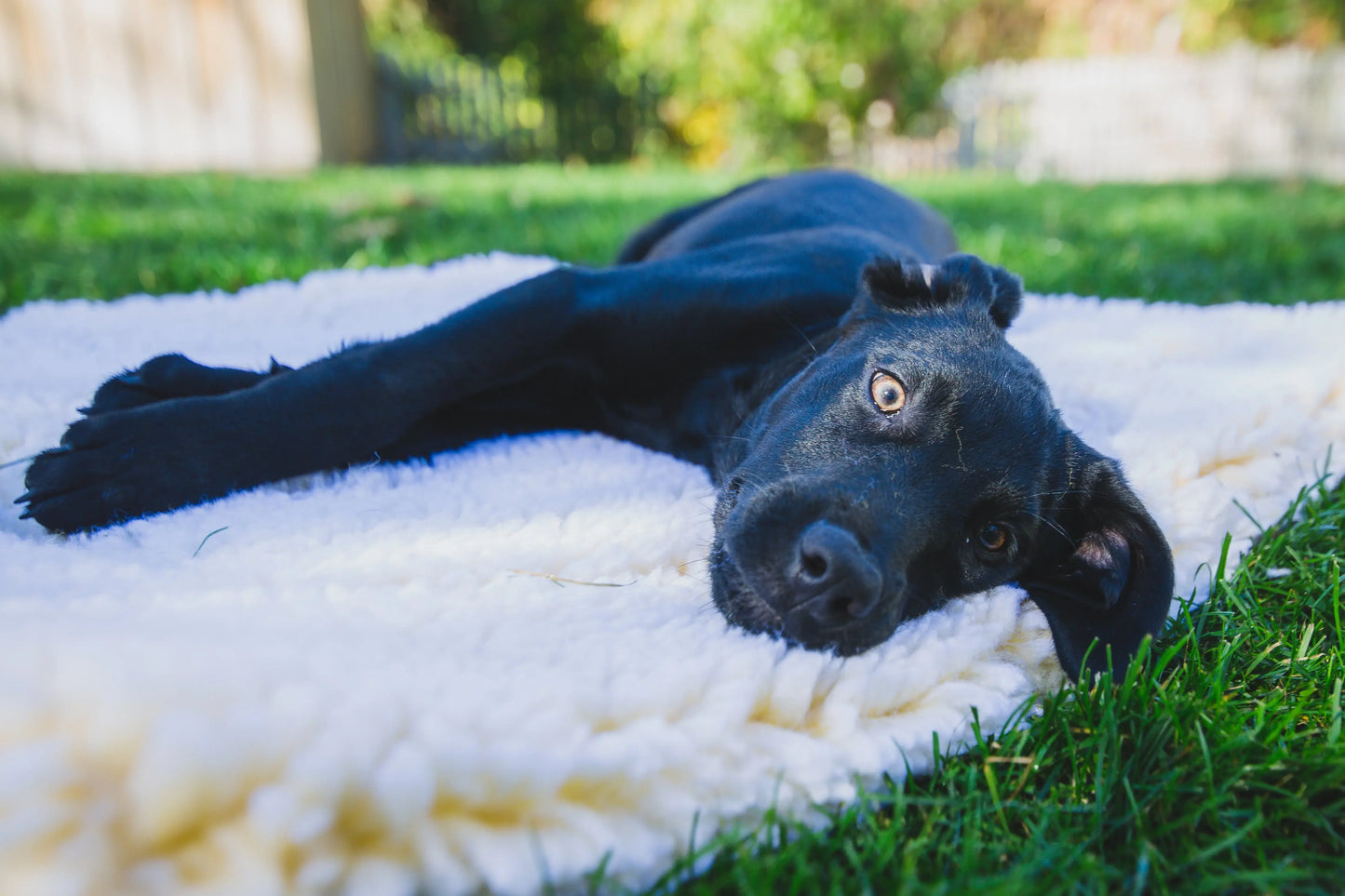 HuggleFleece® Mat Cat & Dog Bed - HuggleHounds - Flyclothing LLC