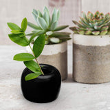 Round Shaped Solid Ceramic Toothbrush Holder / Pen Stand - Madeline Love - Flyclothing LLC