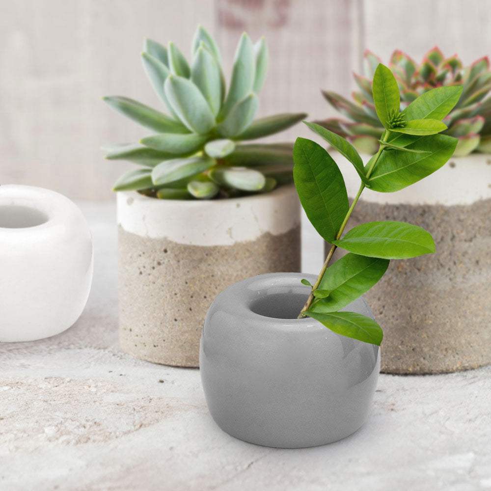 Round Shaped Solid Ceramic Toothbrush Holder / Pen Stand - Madeline Love - Flyclothing LLC