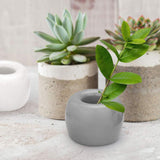 Round Shaped Solid Ceramic Toothbrush Holder / Pen Stand - Madeline Love - Flyclothing LLC