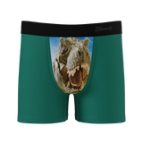 The Mad Lizard | Dinosaur Boy's Boxer Briefs - Shinesty - Flyclothing LLC