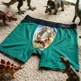 The Mad Lizard | Dinosaur Boy's Boxer Briefs - Shinesty - Flyclothing LLC