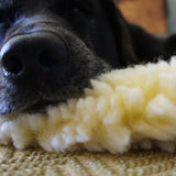 HuggleFleece® Mat Cat & Dog Bed - HuggleHounds - Flyclothing LLC