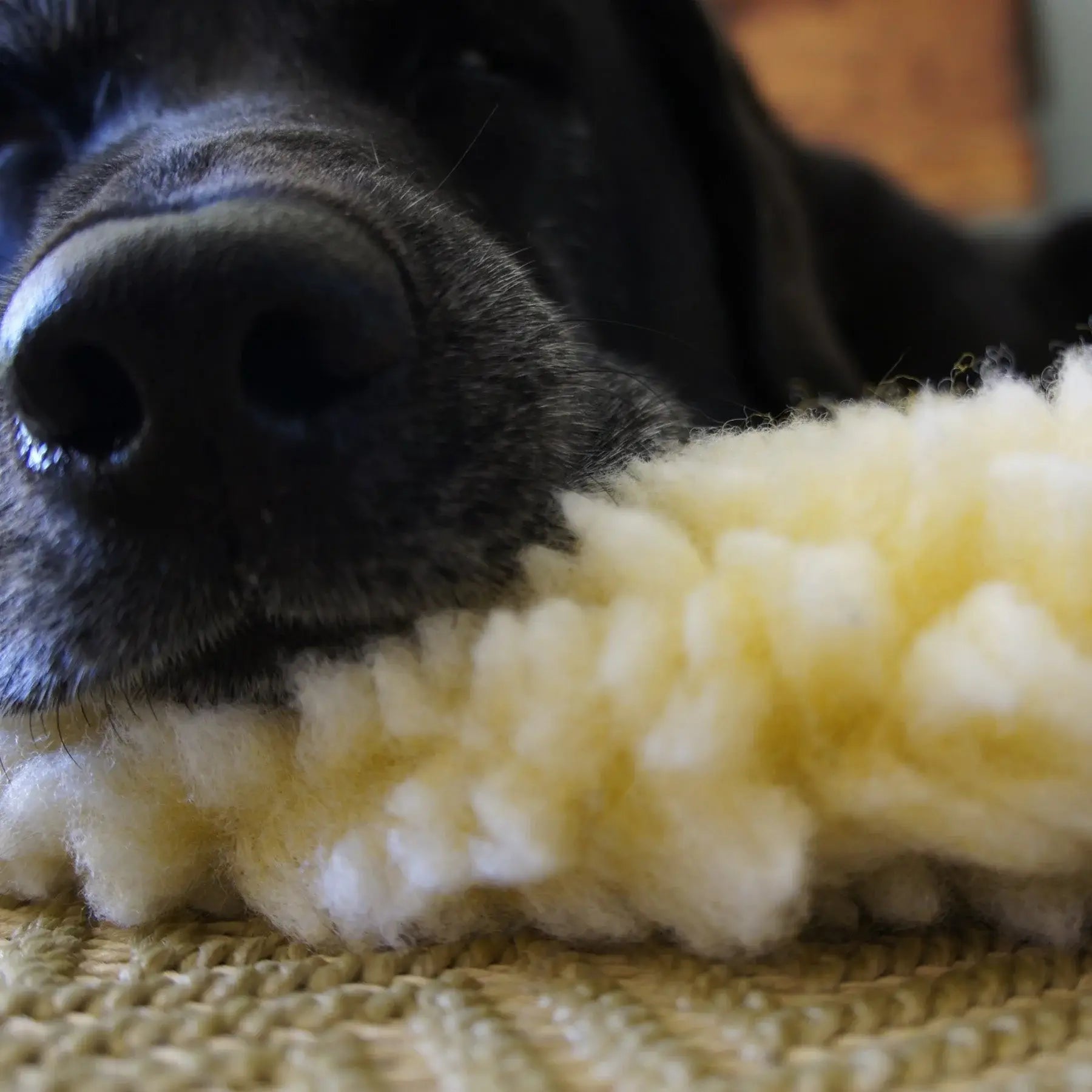HuggleFleece® Mat Cat & Dog Bed - HuggleHounds - Flyclothing LLC