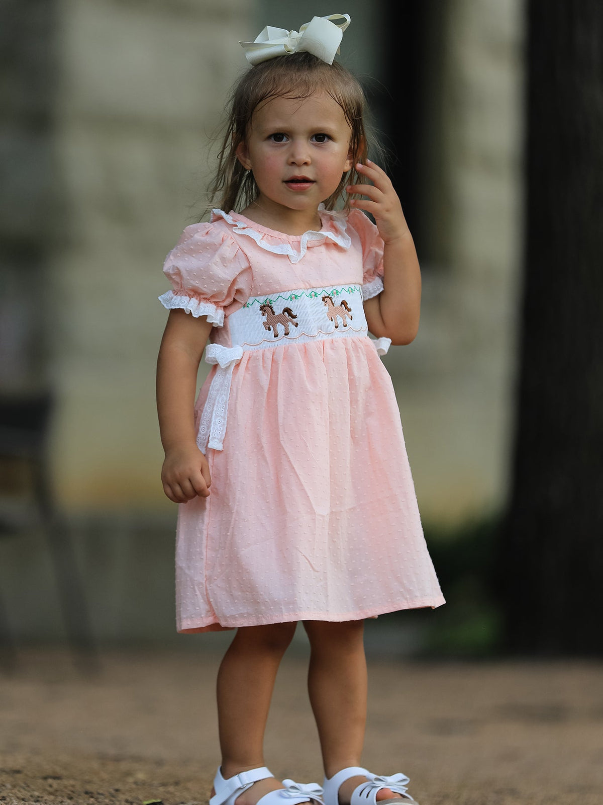 Western Horse Embroidery Girls Dress Lace Petals Collar Puff Sleeve - Rylee Faith Designs - Flyclothing LLC
