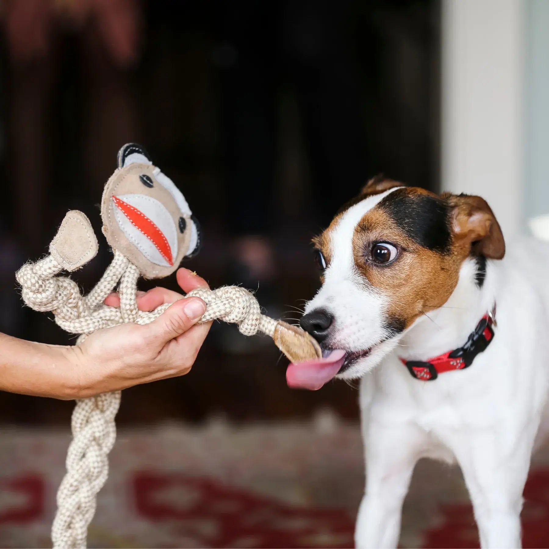 Stuey Sock Monkey Natural Rope Knottie® Dog Toy, Large (9mm rope diameter) - HuggleHounds - Flyclothing LLC