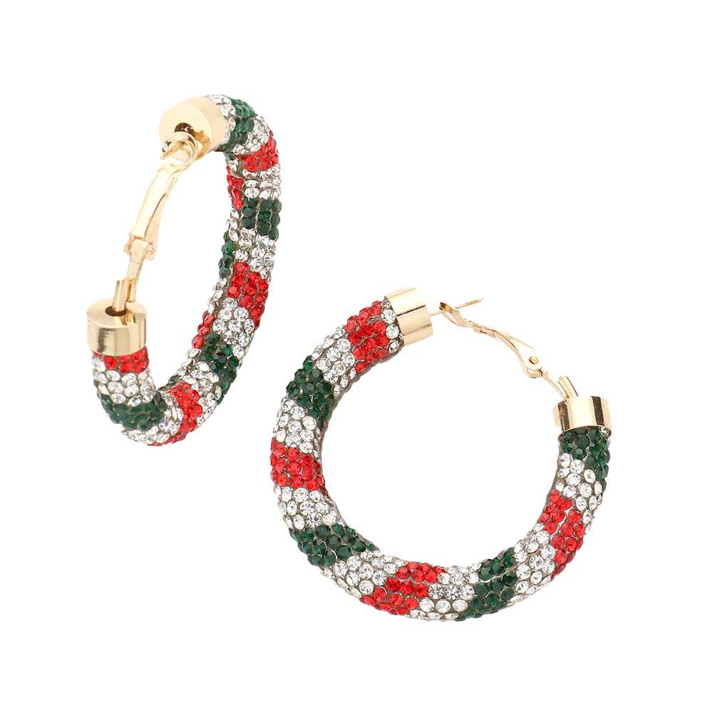 Rhinestone Pave Hoop Earrings - Madeline Love - Flyclothing LLC