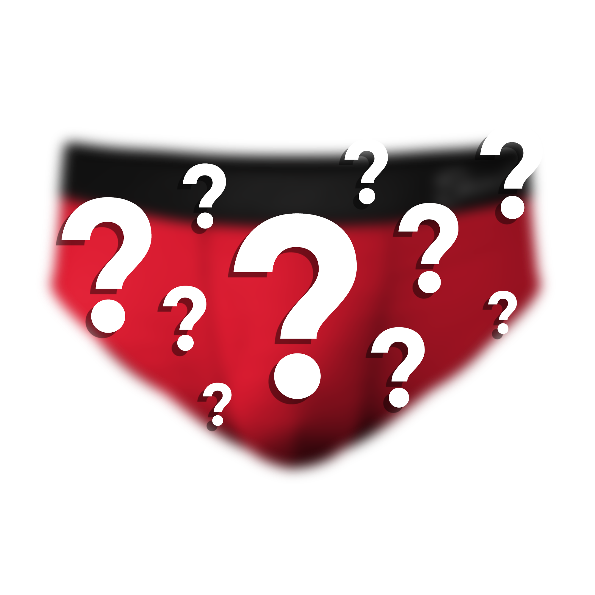 The Mystery | Surprise Ball Hammock® Pouch Underwear Briefs