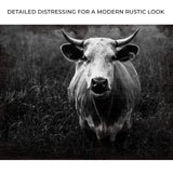 Longhorn Cattle Portrait Canvas Wall Art - Tailored Canvases - Flyclothing LLC