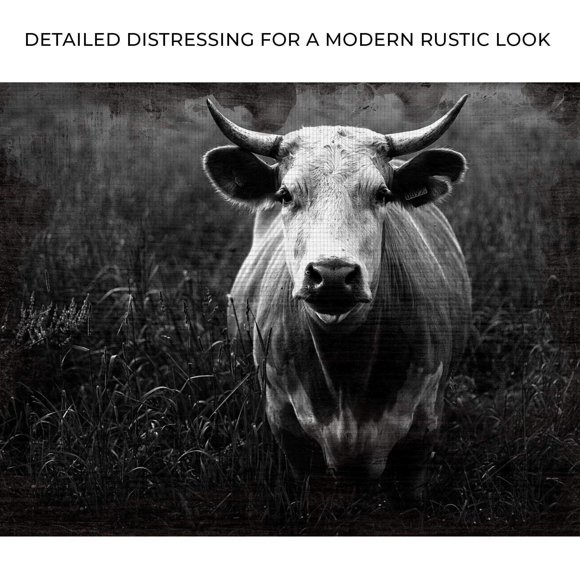 Longhorn Cattle Portrait Canvas Wall Art - Tailored Canvases - Flyclothing LLC