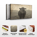 Vintage Angus Portrait Canvas Wall Art - Tailored Canvases - Flyclothing LLC