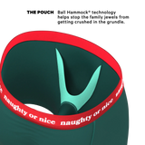 The Nice List | Flirty Waistband Ball Hammock® Pouch Underwear - Shinesty - Flyclothing LLC