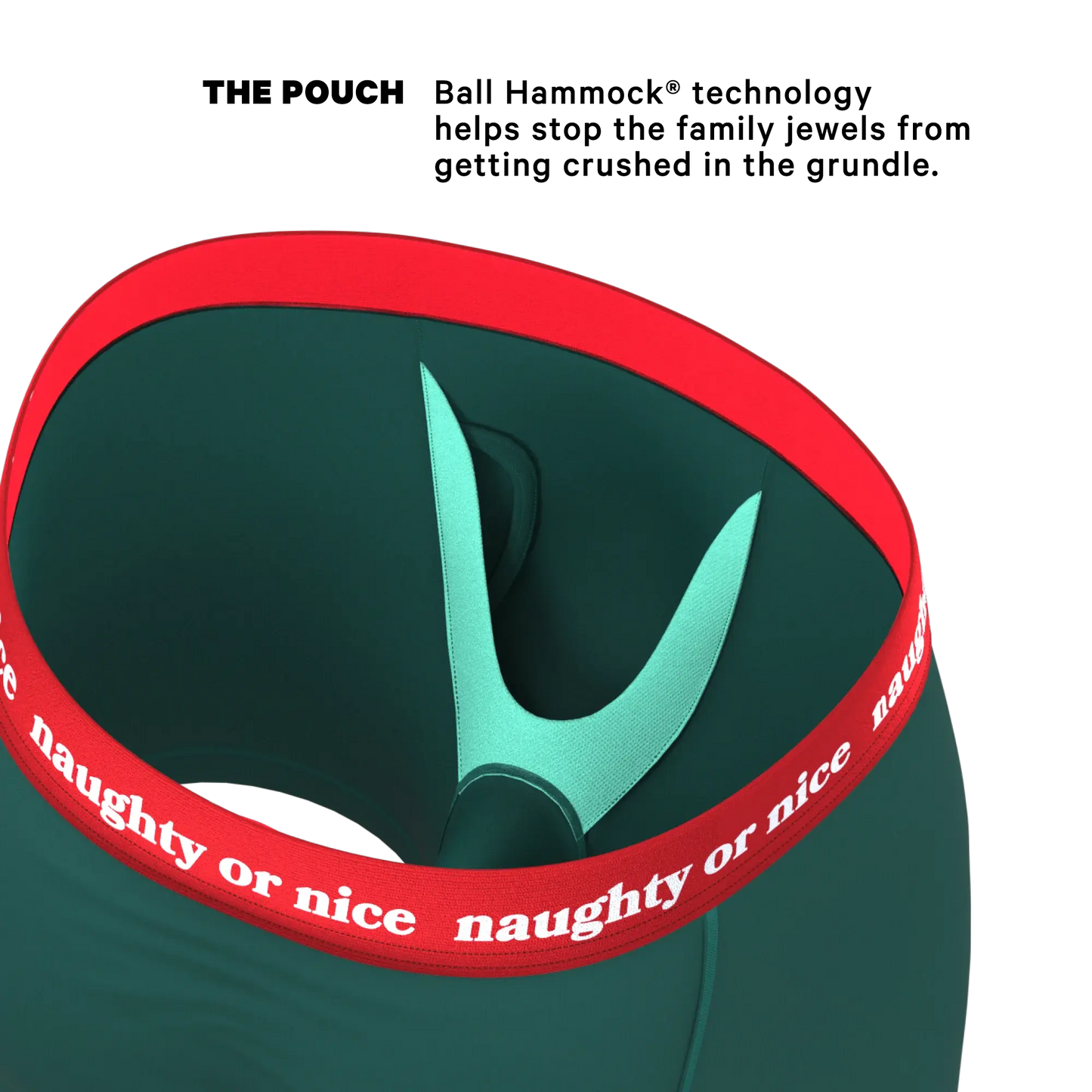 The Nice List | Flirty Waistband Ball Hammock® Pouch Underwear With Fly - Shinesty - Flyclothing LLC