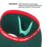 The Nice List | Flirty Waistband Ball Hammock® Pouch Underwear With Fly - Shinesty - Flyclothing LLC