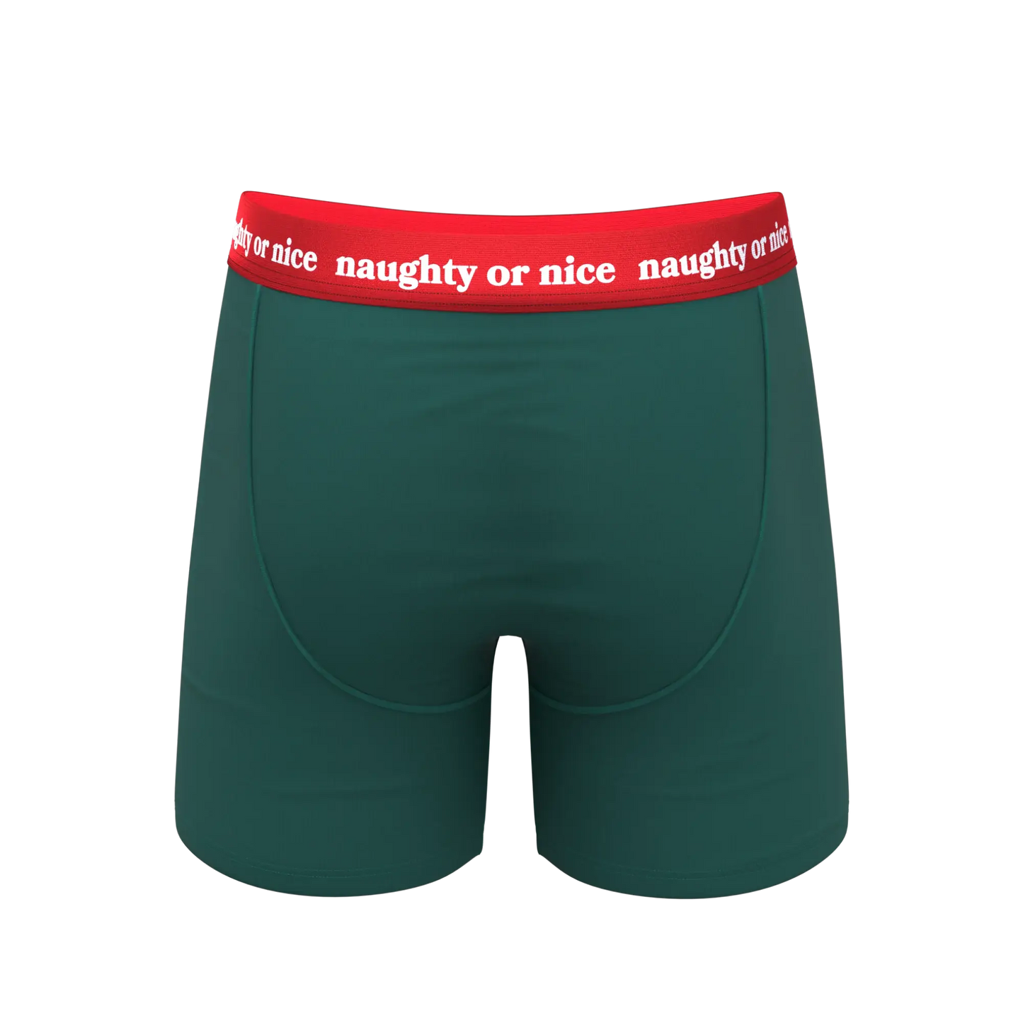 The Nice List | Flirty Waistband Ball Hammock® Pouch Underwear With Fly - Shinesty - Flyclothing LLC