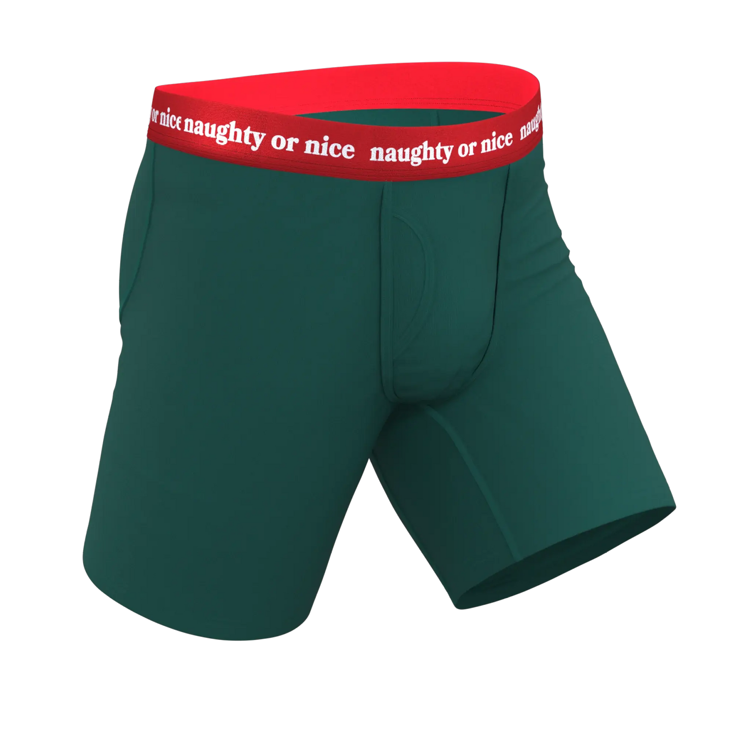 The Nice List | Flirty Waistband Long Leg Ball Hammock® Pouch Underwear With Fly - Shinesty - Flyclothing LLC
