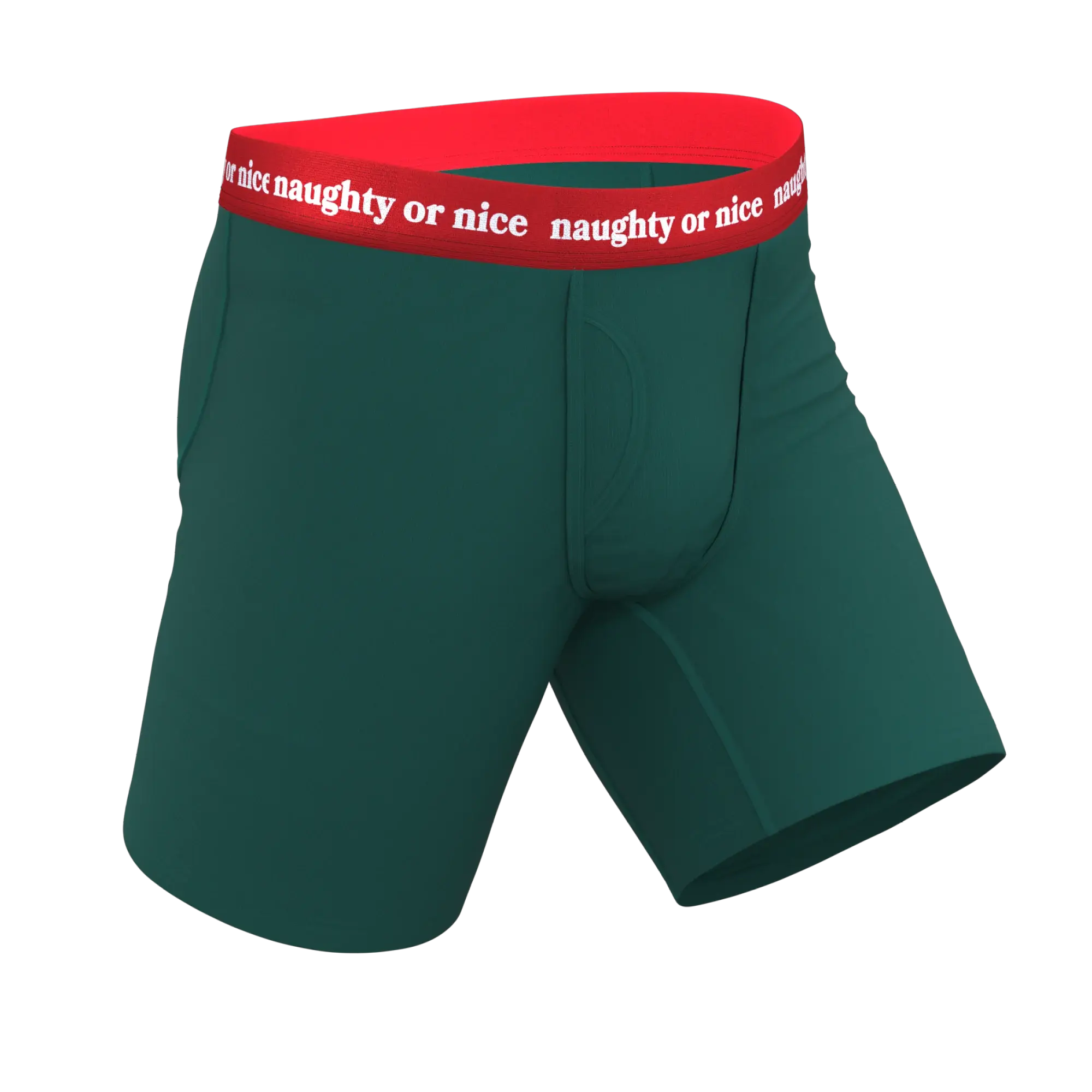 The Nice List | Flirty Waistband Long Leg Ball Hammock® Pouch Underwear With Fly - Shinesty - Flyclothing LLC